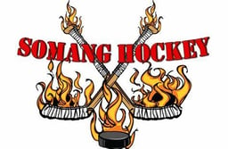 team Somang Academy logo