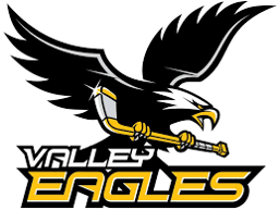 team Valley Youth Hockey Association - NYH-1320-003 logo