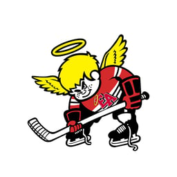team CPHL Denver East T1 logo