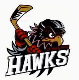 team Colborne Fire Hawks logo