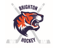 team Brighton JV logo