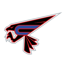 team Lady Falcons logo