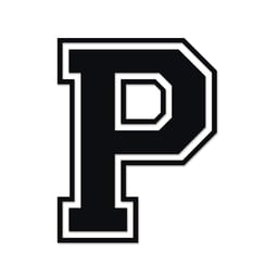 team Team Providence logo