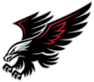 team Dofasco Steelhawks logo