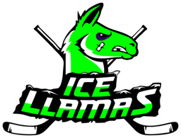 team South County Green JV logo