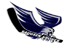 team Saugeen Shores Winterhawks logo