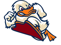 team Stevens Institute of Technology - DIII logo
