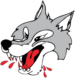team Sudbury Wolves logo