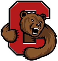 team Cornell University - DI logo