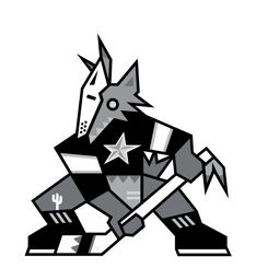 team Richmond Hill Coyotes logo