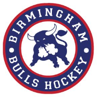 team Birmingham Bulls logo