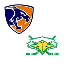 team DTE-Shanahan GV logo