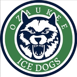 Scores | Wisconsin Amateur Hockey Association - Playdowns 2024 » USAH ...