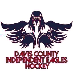 team DCI Varsity logo