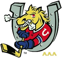team Barrie AAA ZONE U15 logo