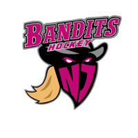 team NJ Bandits (NJ) logo