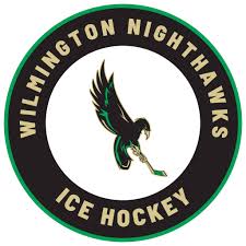 team Wilmington Nighthawks logo