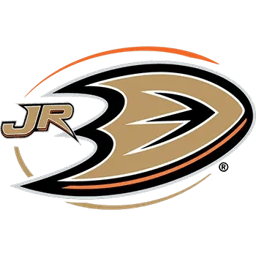 team Anaheim Jr Ducks logo