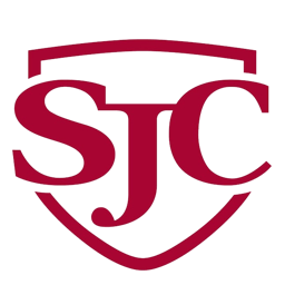 team St. John's AA logo