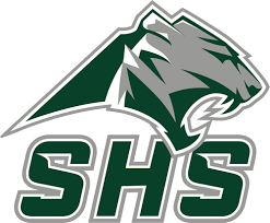 team Summit logo
