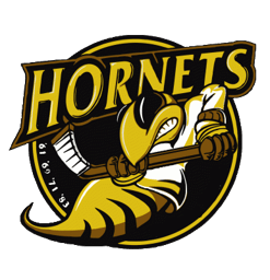 team Cambridge Hornets logo