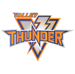 team THUNDER 10MINOR logo