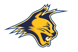 team Arizona Bobcats (AZ) logo