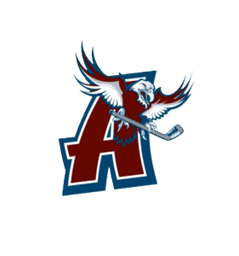 Standings | New York State Amateur Hockey Association (NYSAHA ...
