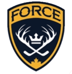 team Forest Hill Hockey Association logo