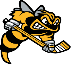 team Sarnia Sting logo