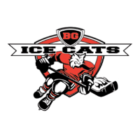 team Bowling Green Ice Cats logo