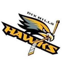 team Dix Hills Hawks NYH0093-004 logo