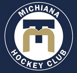 team Michiana Momentum logo