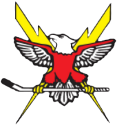 team Connetquot Sayville VR NYH0060-034 logo