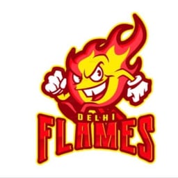 team Delhi Flames logo