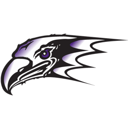 team Niagara University - DI logo