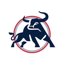 team Bulls logo