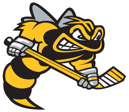 team Sarnia Black logo