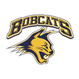 team AZ Bobcats 14U Combo logo