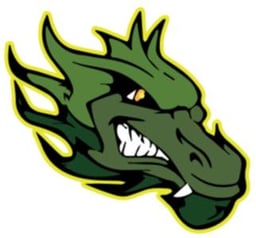 team Fauquier Dragons HS logo