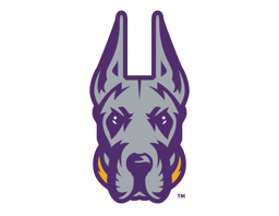 team University of Albany – DIII logo