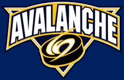 team North Jersey Avalanche Blue logo