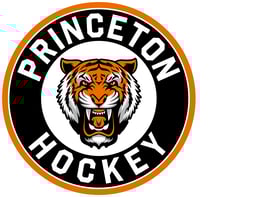 team Princeton logo