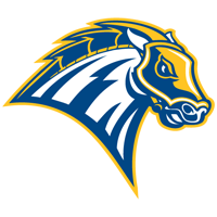 team University of New Haven logo