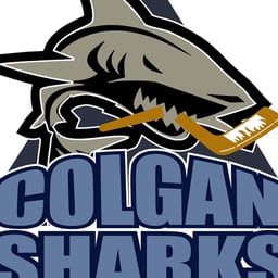 team Colgan logo