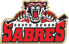 team South Huron Sabres U15 D logo