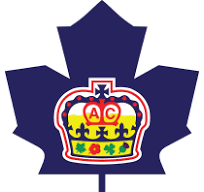 team Toronto Marlies logo