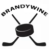 team Brandywine logo