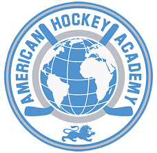 EHF 2010 Gold: Providence Hockey Club (North) @ Boston Jr Terriers