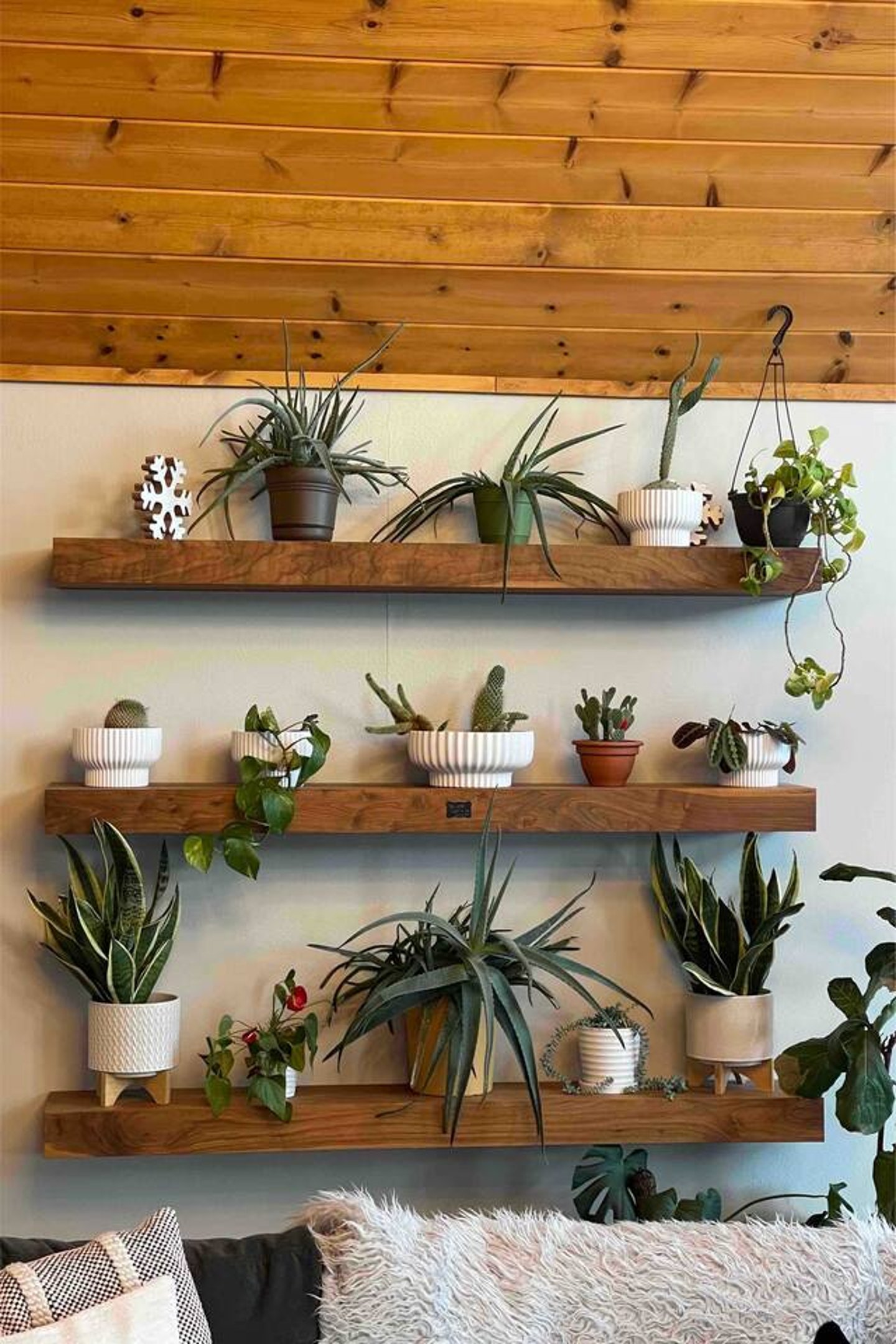 The Grizzly Maze - 19